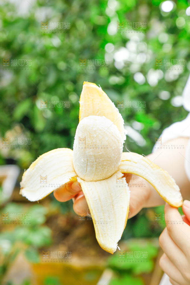 手拿剥皮的海南苹果蕉