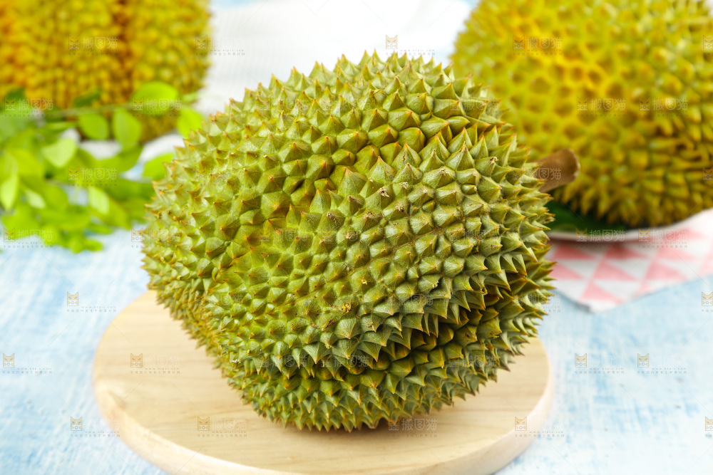 蓝底上的巴掌榴莲