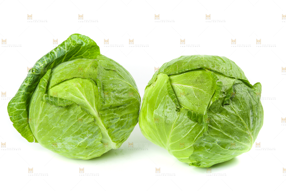 白底上的包心菜
