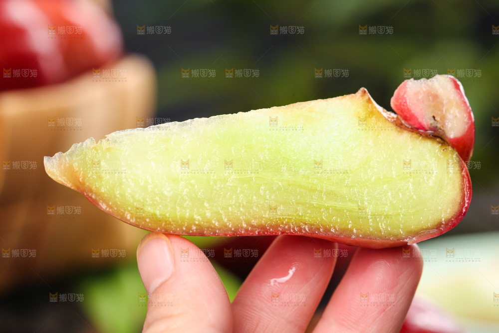 手拿切开的莲雾