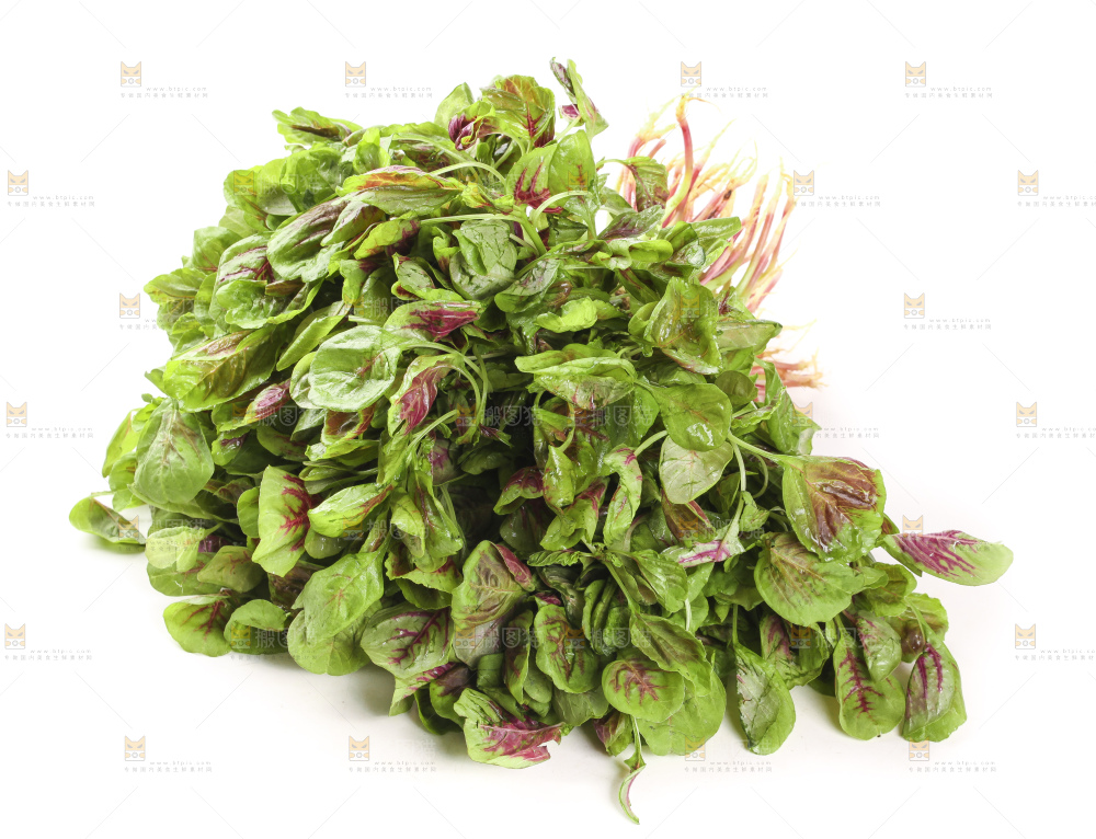 白底上的红苋菜