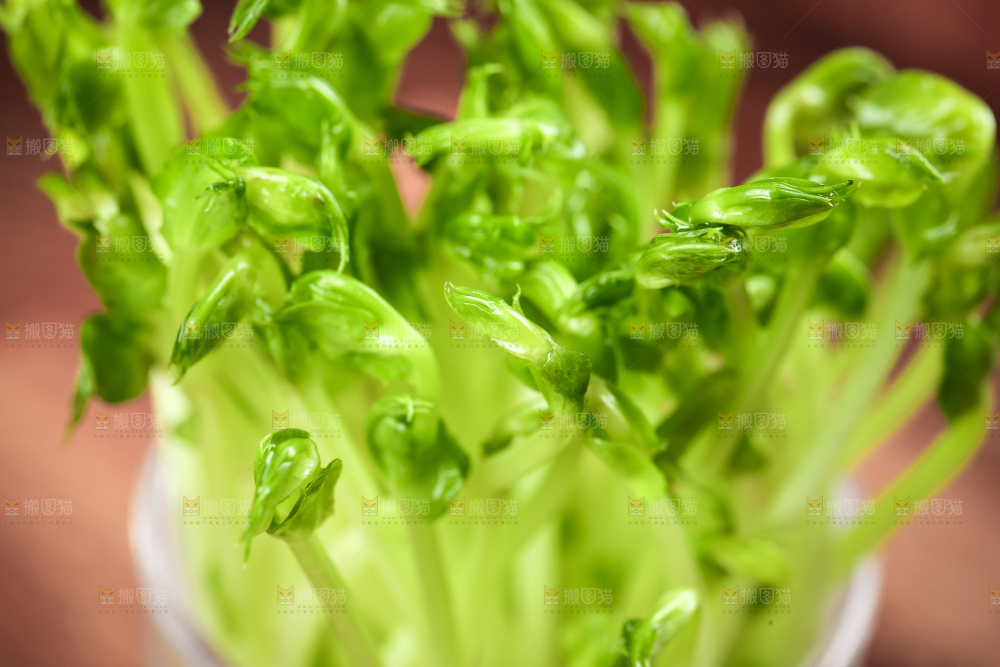 木板上放着豌豆芽
