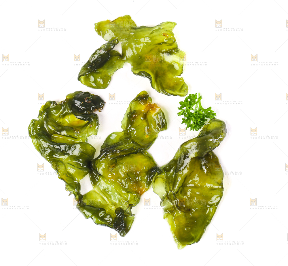 白底上的地皮菜