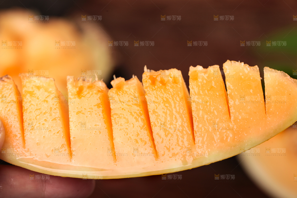 黄河蜜瓜