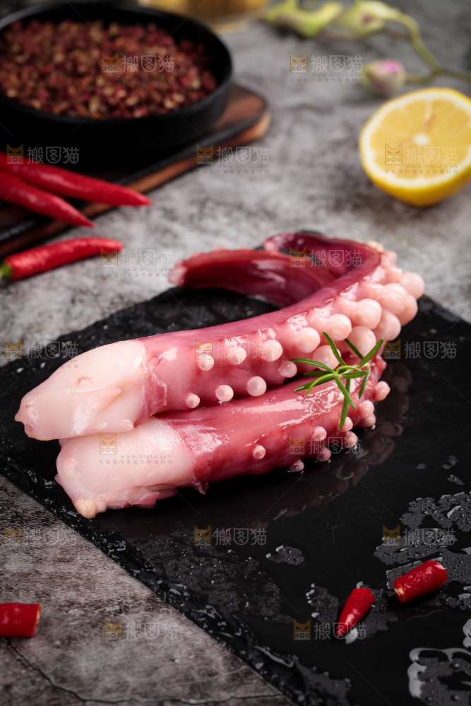 黑石板上的大鱿鱼