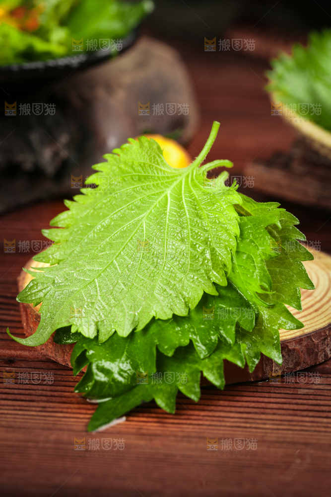 木板上的青紫苏叶