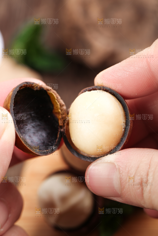 手拿夏威夷果果仁