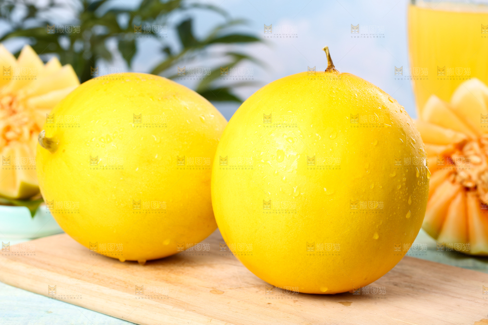 木底上的黄河密瓜