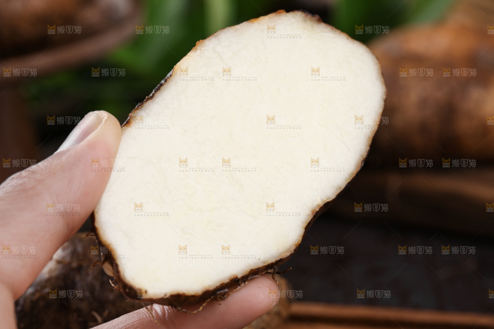 手拿切开的毛薯