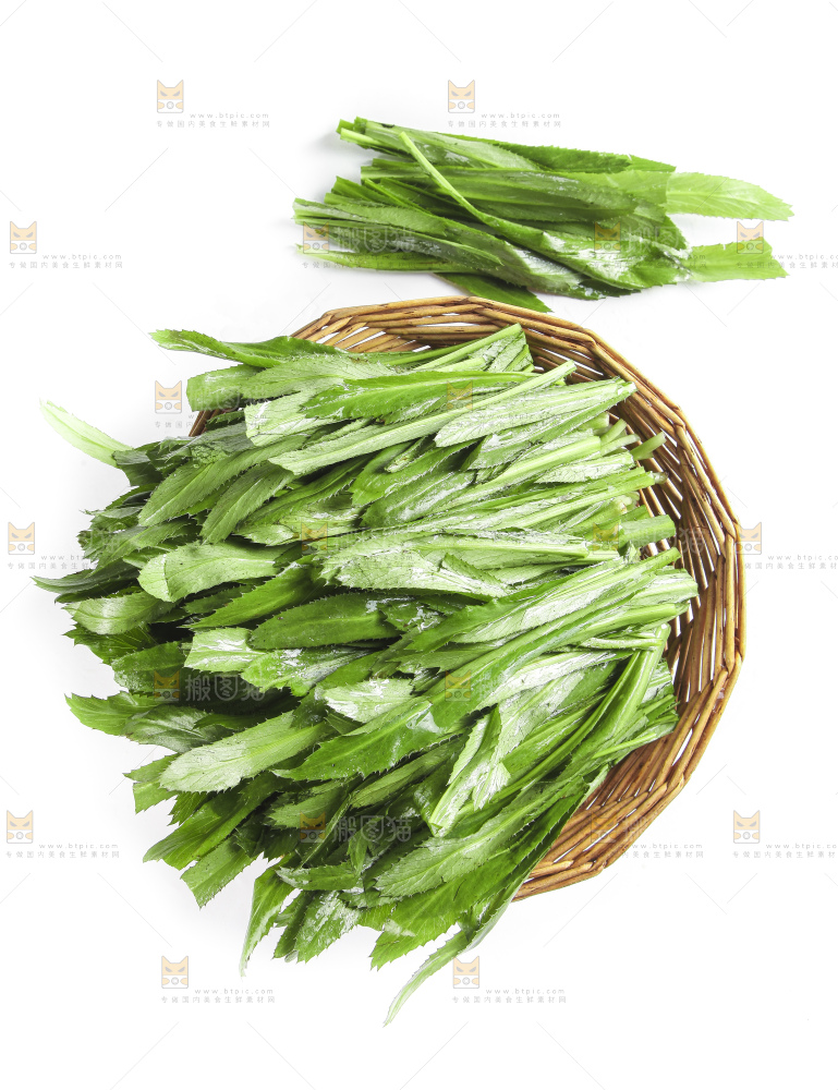 白底上放着一筐云南大香菜