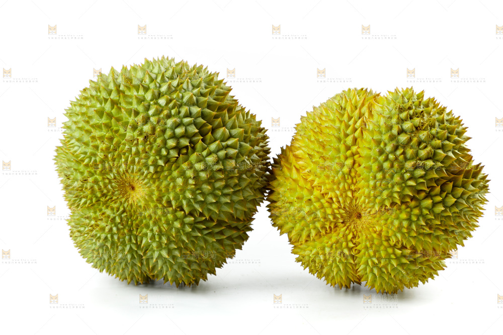 白底上的新鲜榴莲