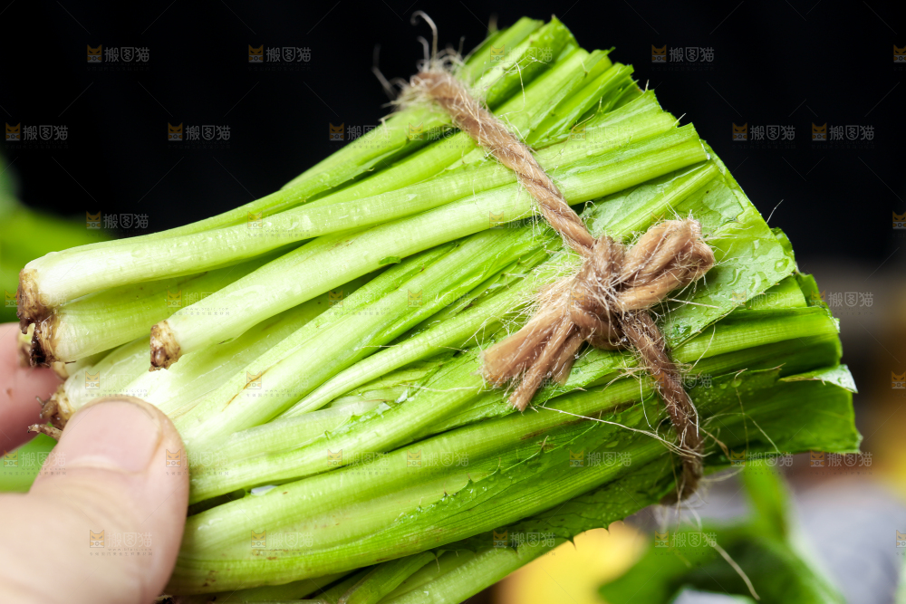 手拿切开的云南大香菜