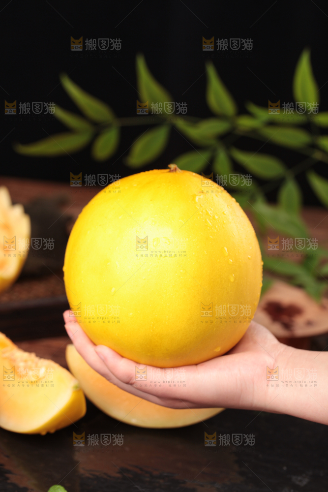 手拿新鲜黄河蜜瓜
