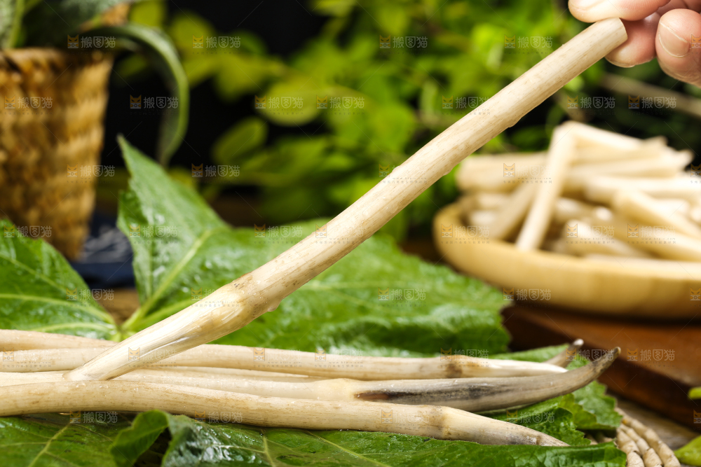 手里拿着新鲜藕带