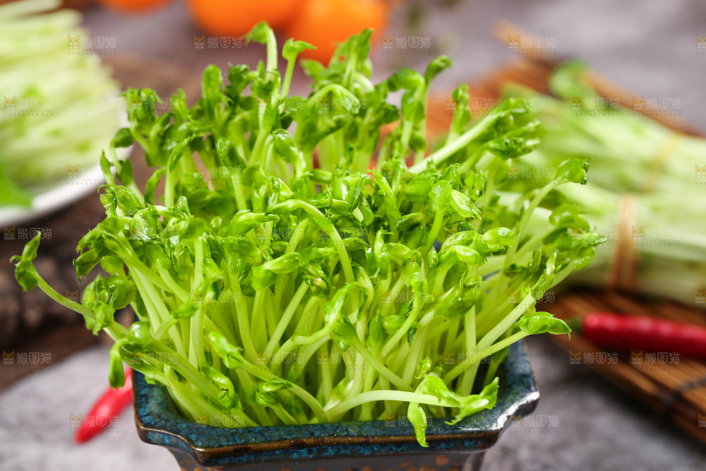 瓶子里装着芽菜