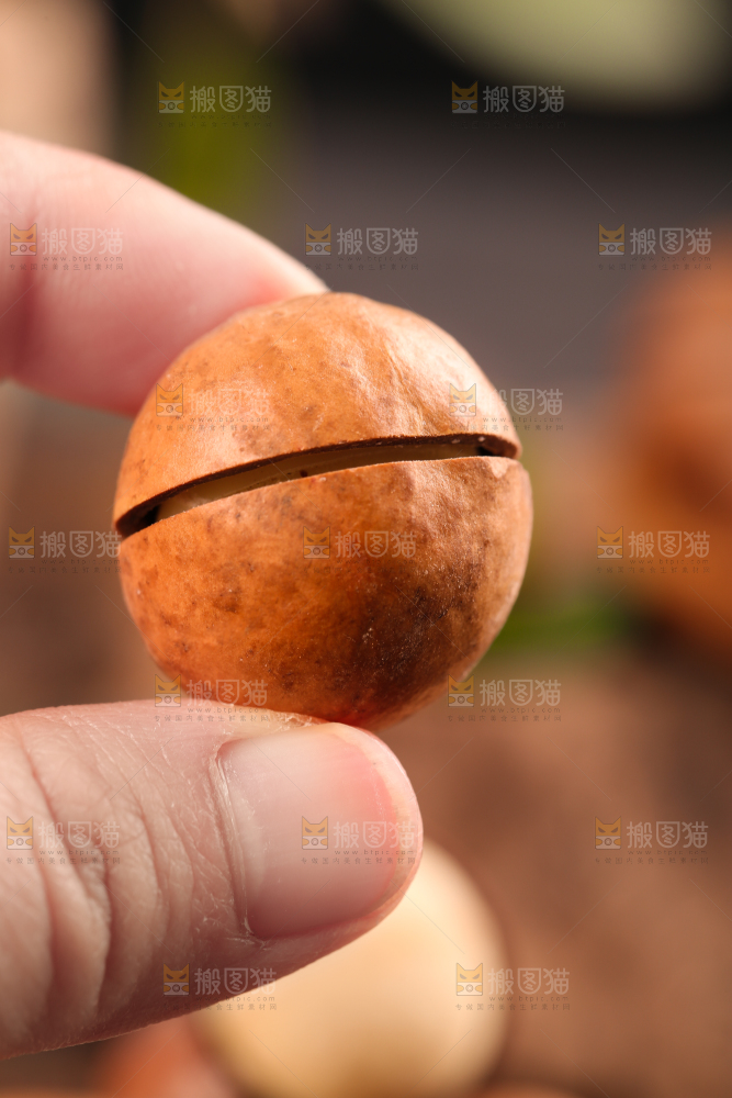 手拿夏威夷果