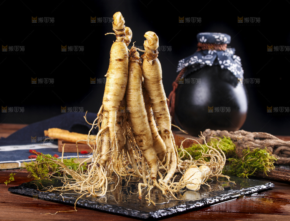 黑石板上的东北人参