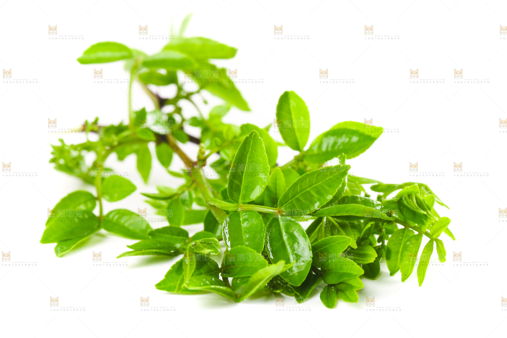 白底上放着花椒芽