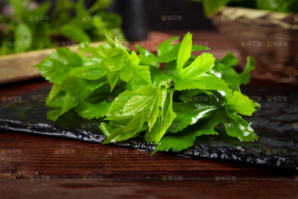 黑石板上放着新鲜桑叶