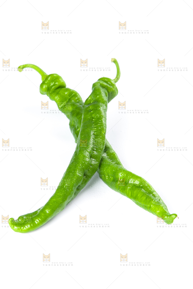 白底上摆放着青螺丝椒