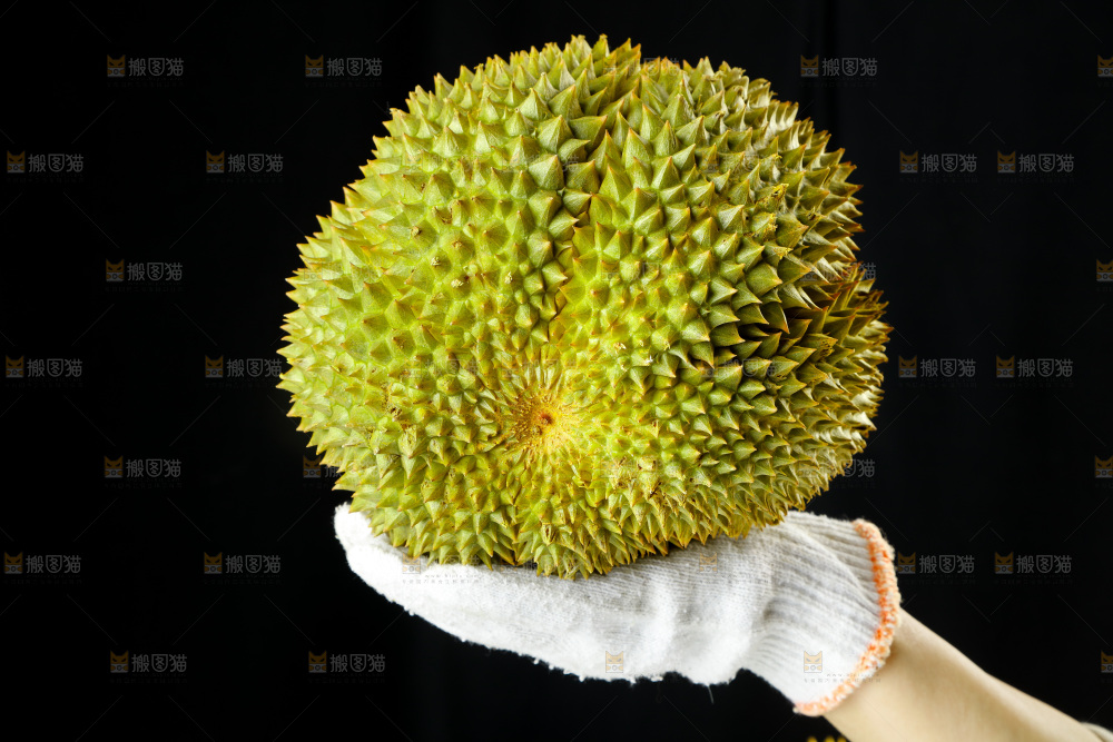手里拿着进口甲仑榴莲