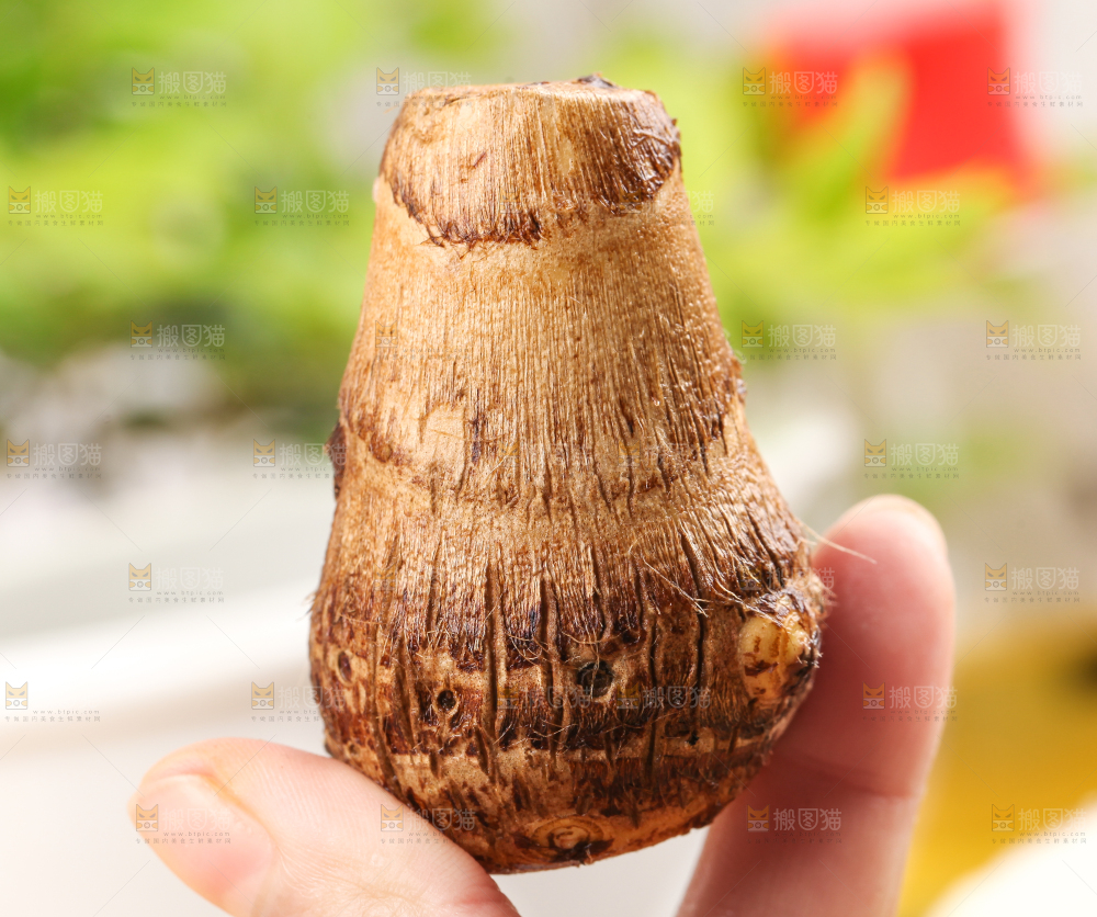 手里拿着新鲜小芋头