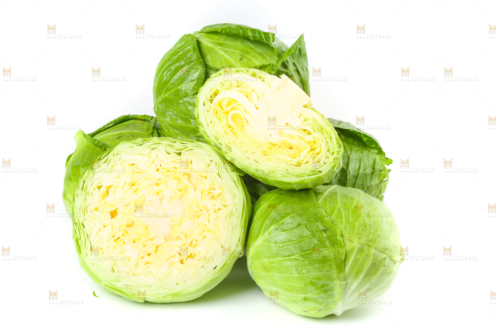 切开的卷心菜放在白底上