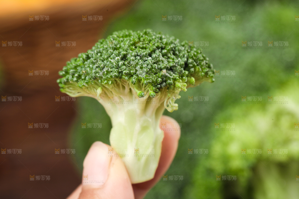 手拿新鲜的西兰花