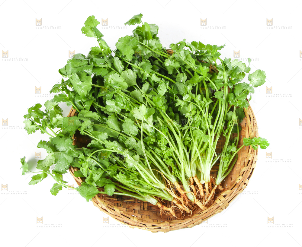 白底上放着一筐农家香菜