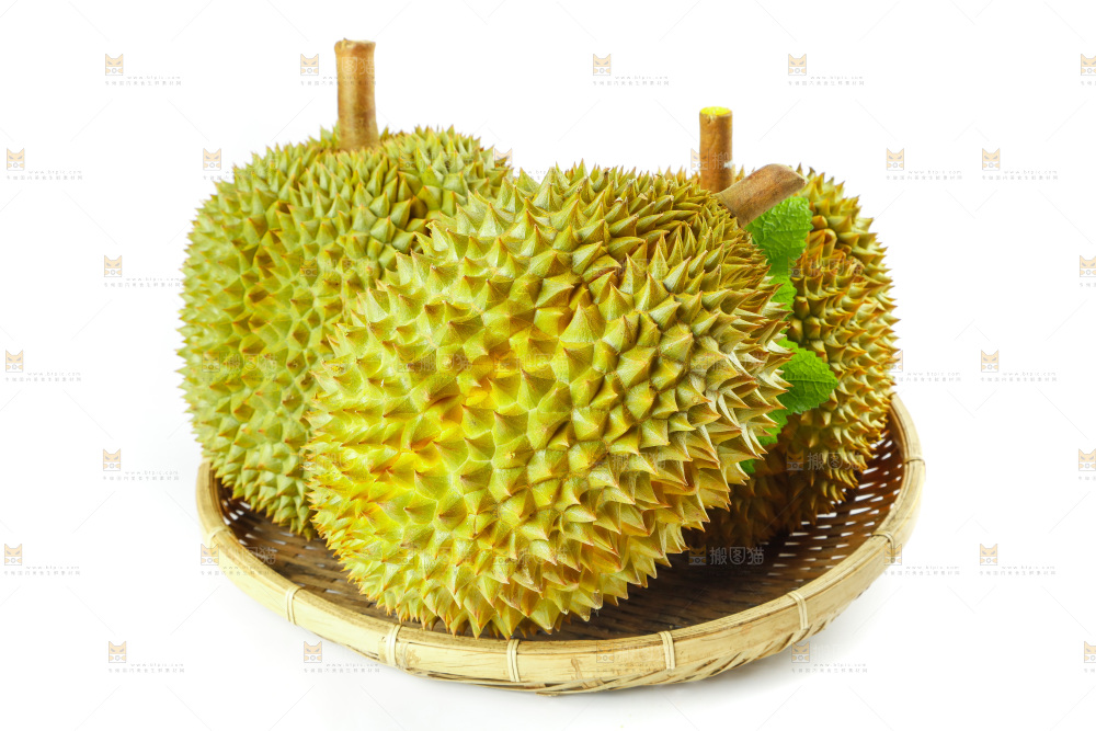 白底上的新鲜榴莲