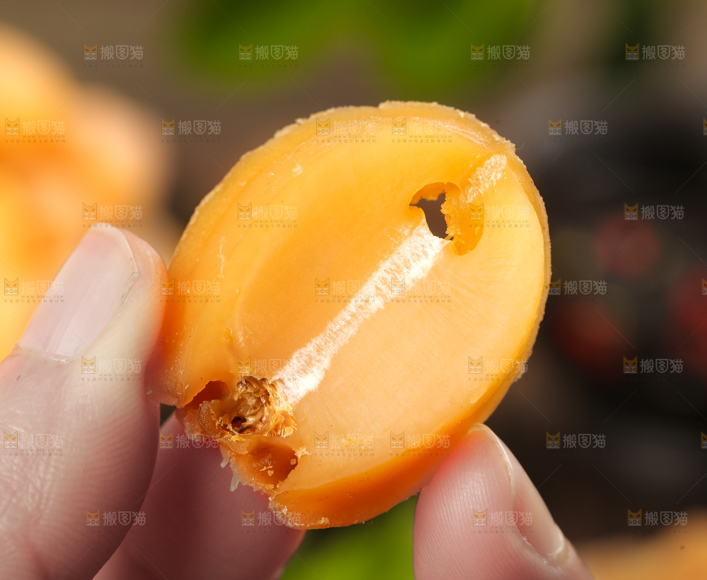 手拿干鲍鱼