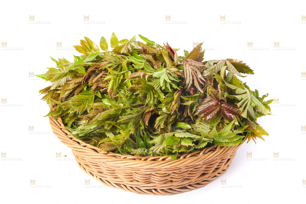 白底上放着一筐香椿芽