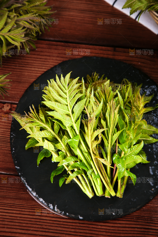 黑石板上的香椿芽