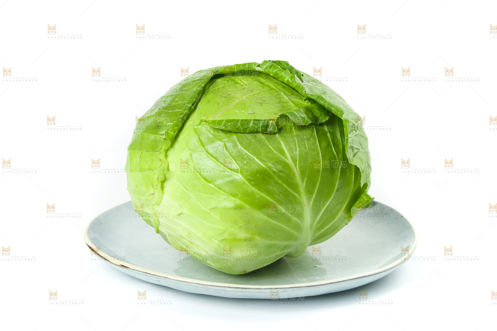 白底上放着一盘包菜
