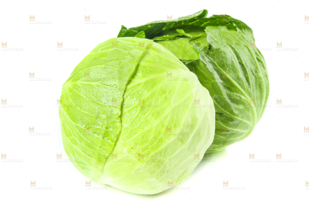 白底上的包心菜
