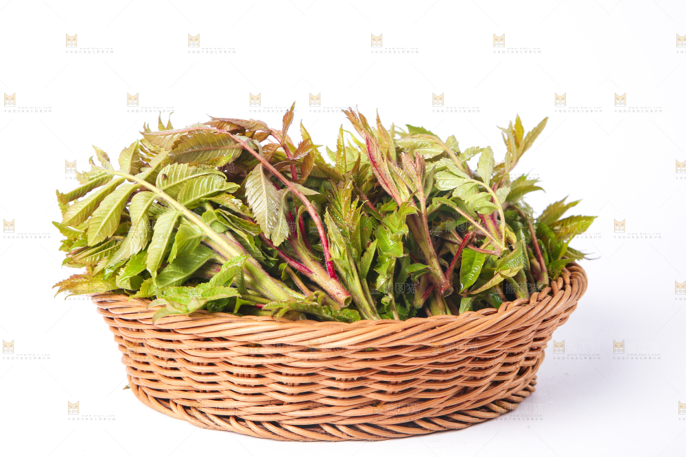 白底上放着一筐香椿芽