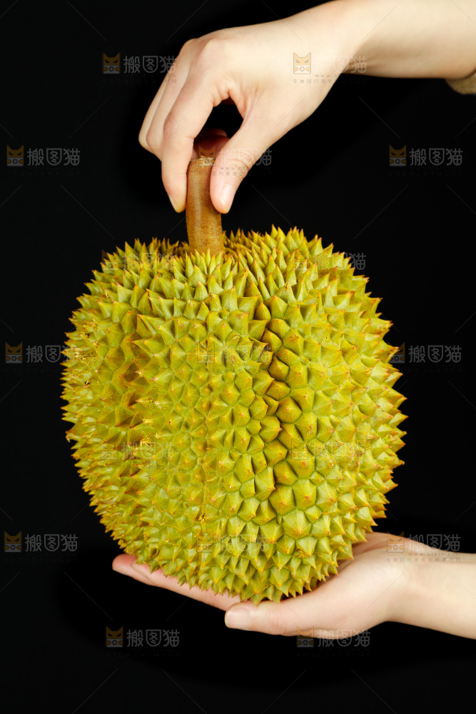 手里拿着进口甲仑榴莲