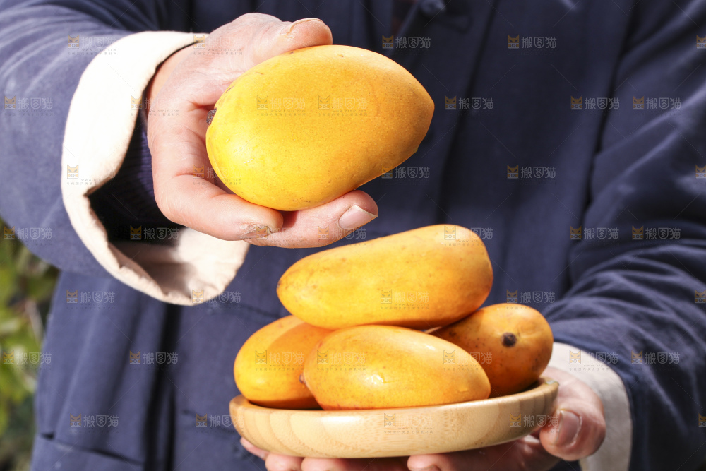 手拿一盘小台芒