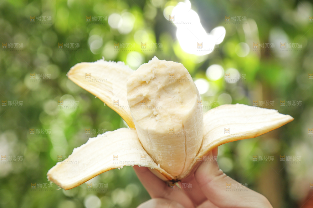 手拿剥皮的苹果蕉