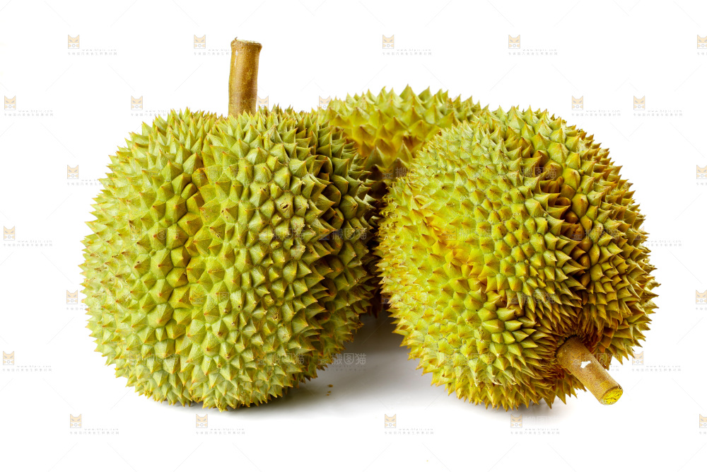 白底上的新鲜榴莲