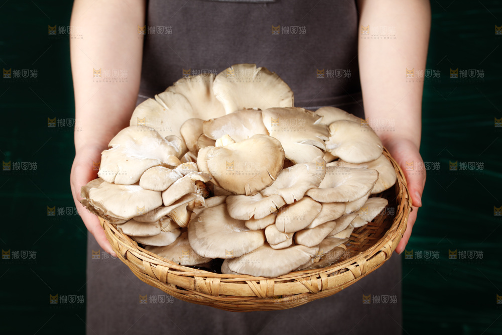 手拿一筐新鲜平菇