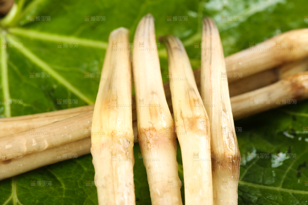 荷叶上放着洪湖藕带