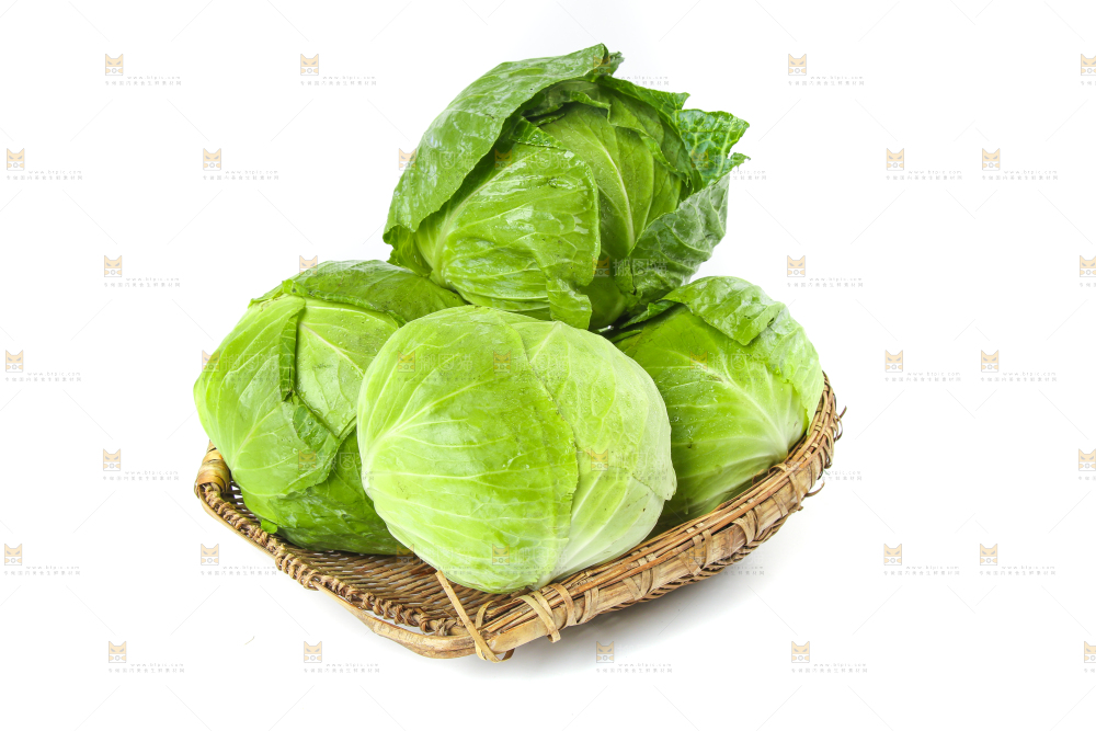 一筐新鲜包心菜放在白底上