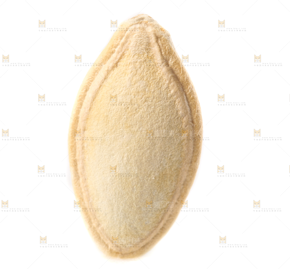 白底上的纸皮南瓜子