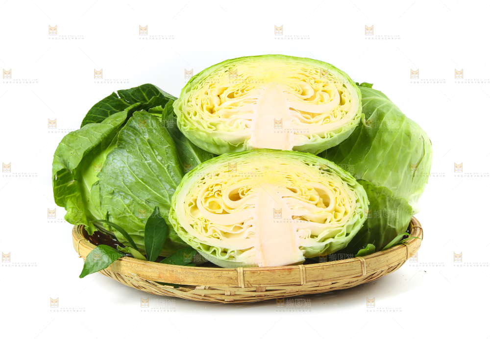 一筐新鲜包心菜放在白底上
