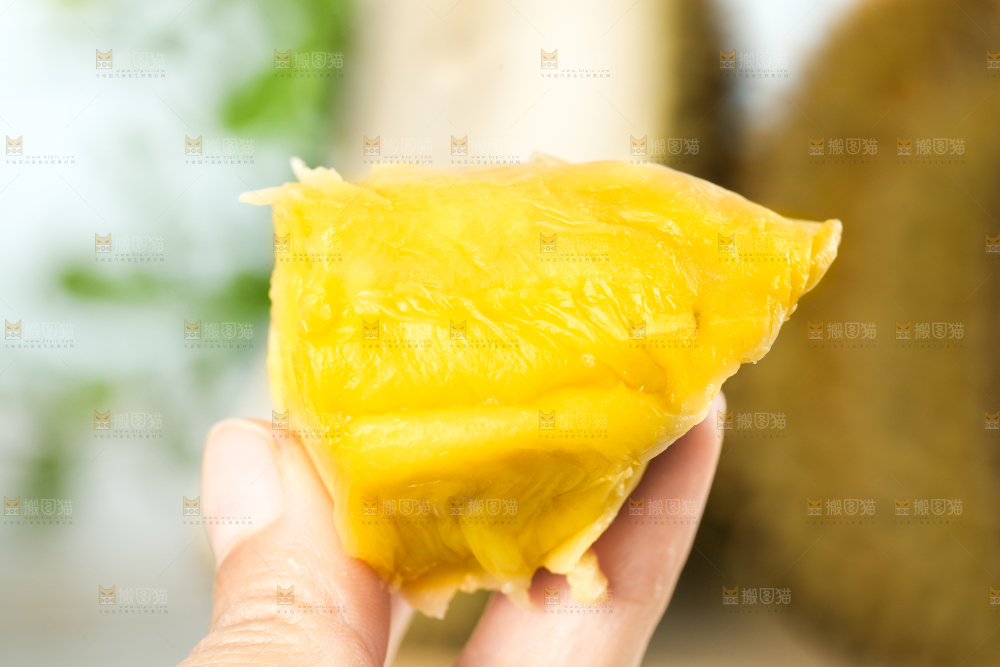 手里拿着新鲜榴莲果肉