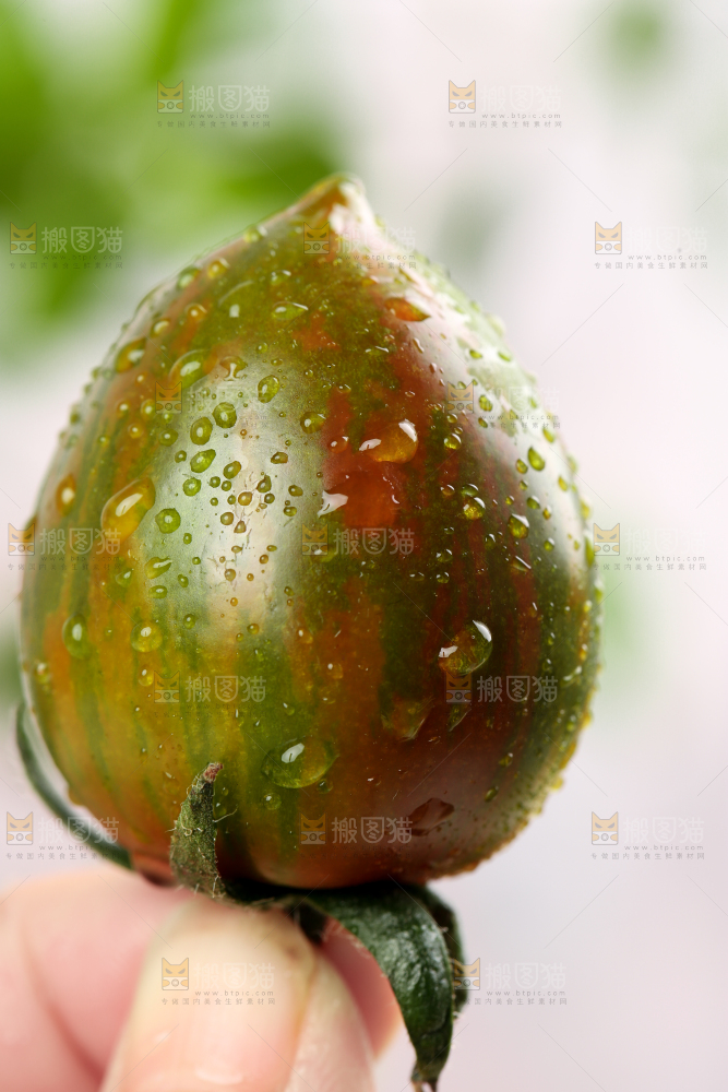 迷彩番茄
