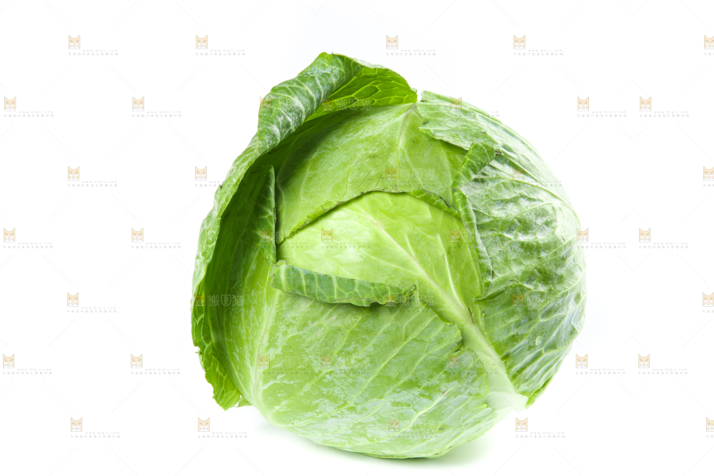 的底上的新鲜包菜