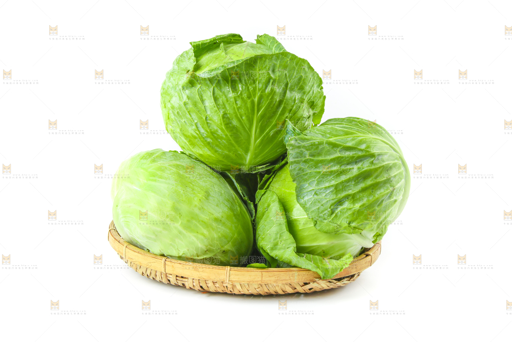 一筐新鲜包心菜放在白底上