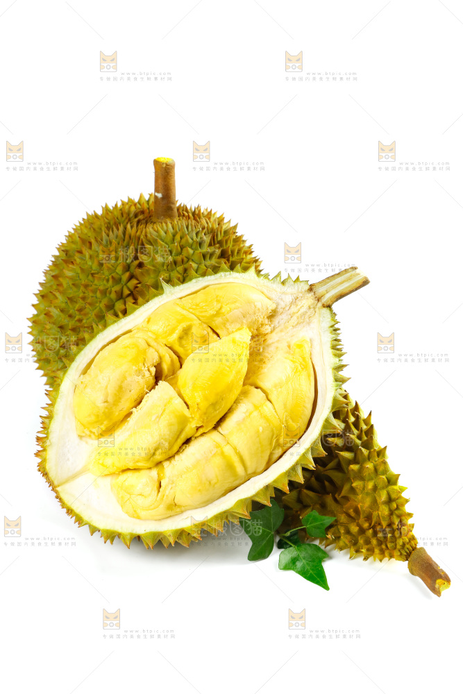 白底上的泰国榴莲